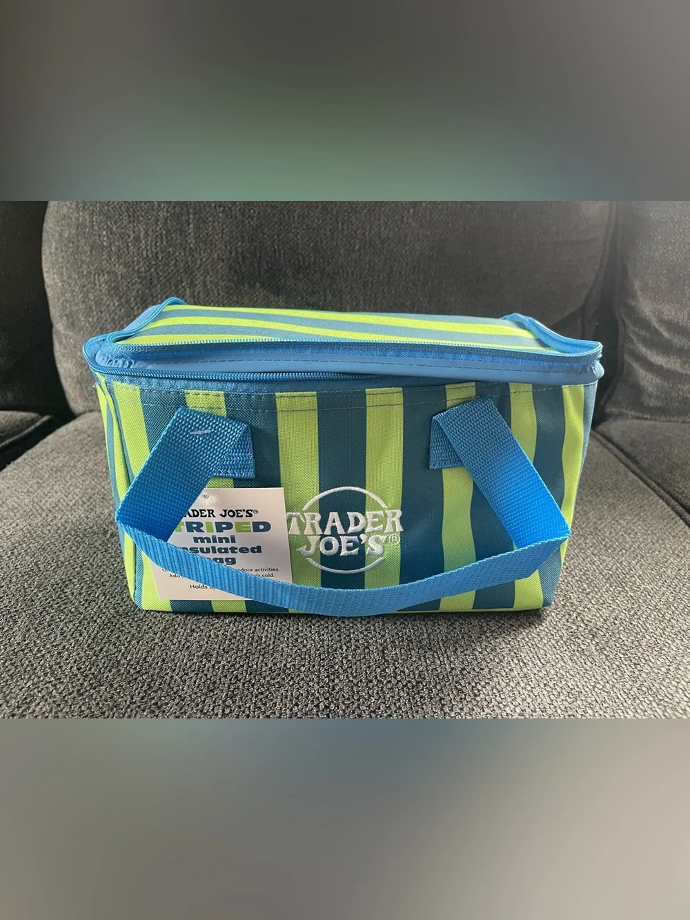 Trader Joe's Striped Mini Insulated Bag - Blue & Lime Green